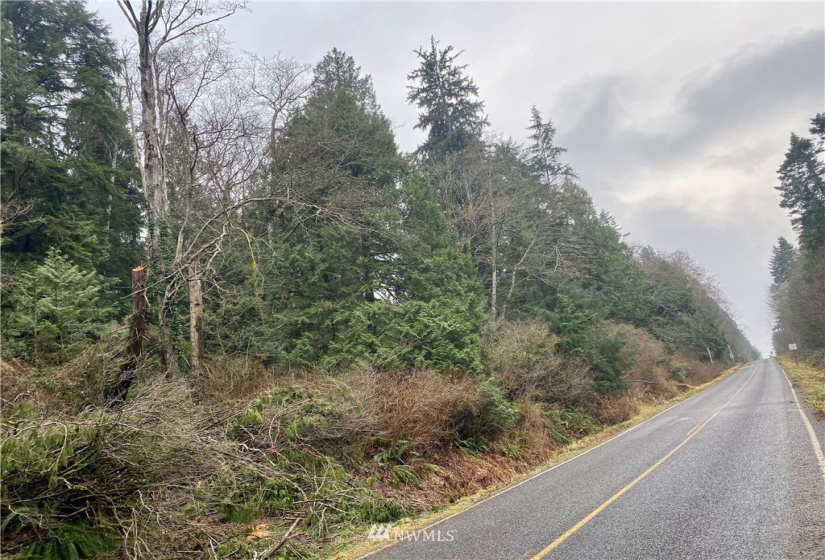0 Roosevelt Rd, Point Roberts, Washington 98281, ,Land,For Sale,Roosevelt Rd,NWM1879073