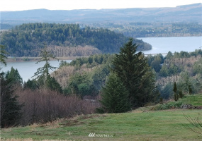 0 Tanglewood, Mossyrock, Washington 98564, ,Land,For Sale,Tanglewood,NWM1878956
