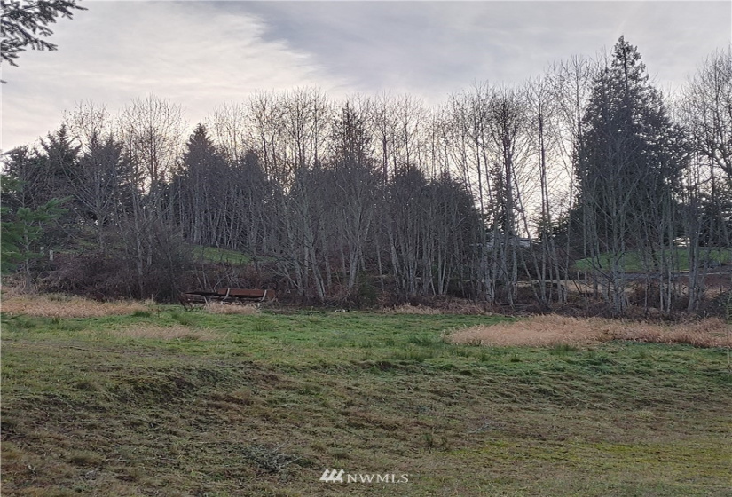 0 Tanglewood, Mossyrock, Washington 98564, ,Land,For Sale,Tanglewood,NWM1878956