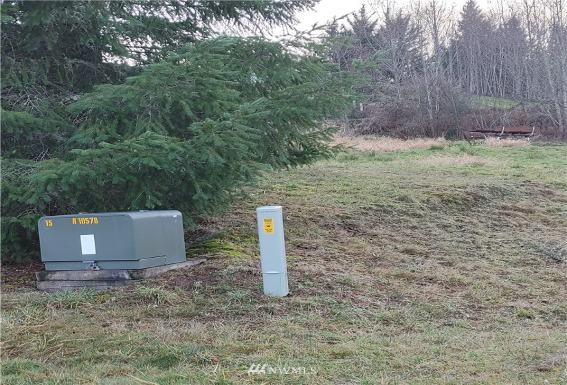 0 Tanglewood, Mossyrock, Washington 98564, ,Land,For Sale,Tanglewood,NWM1878956