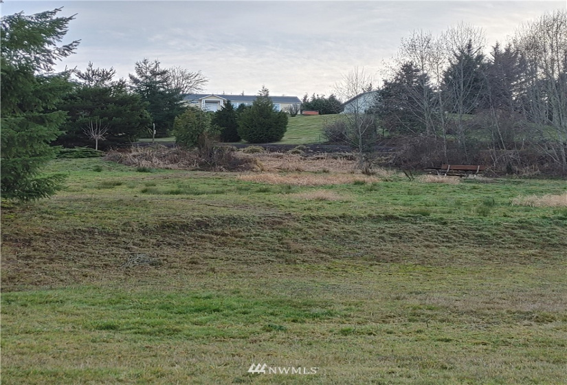 0 Tanglewood, Mossyrock, Washington 98564, ,Land,For Sale,Tanglewood,NWM1878956