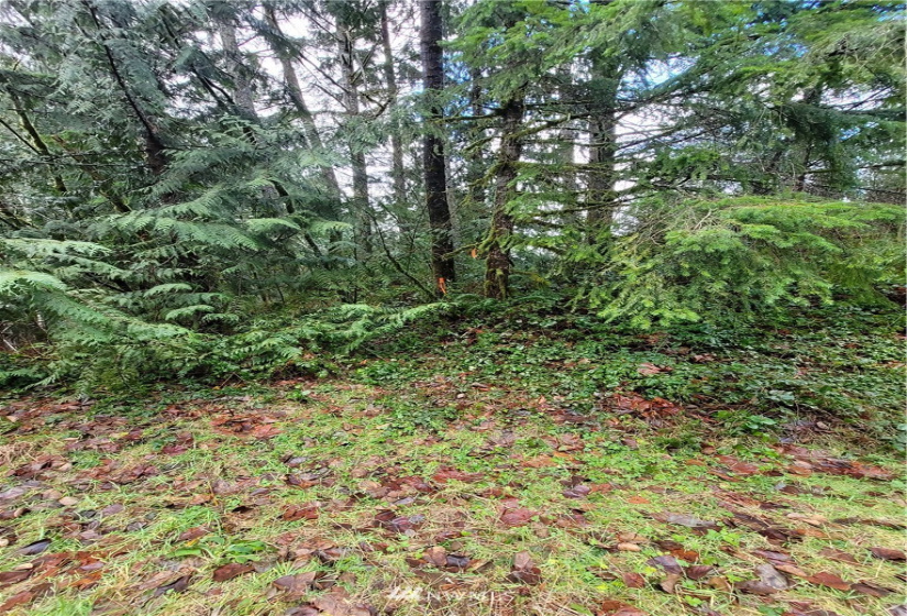 8900 302nd, Issaquah, Washington 98027, ,Land,For Sale,302nd,NWM1878856