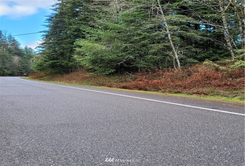 8900 302nd, Issaquah, Washington 98027, ,Land,For Sale,302nd,NWM1878856
