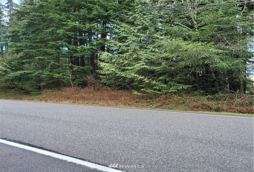 8900 302nd, Issaquah, Washington 98027, ,Land,For Sale,302nd,NWM1878856
