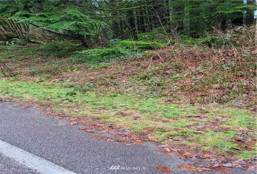 8900 302nd, Issaquah, Washington 98027, ,Land,For Sale,302nd,NWM1878856