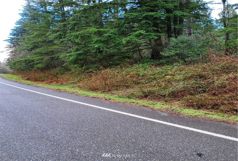 8900 302nd, Issaquah, Washington 98027, ,Land,For Sale,302nd,NWM1878856