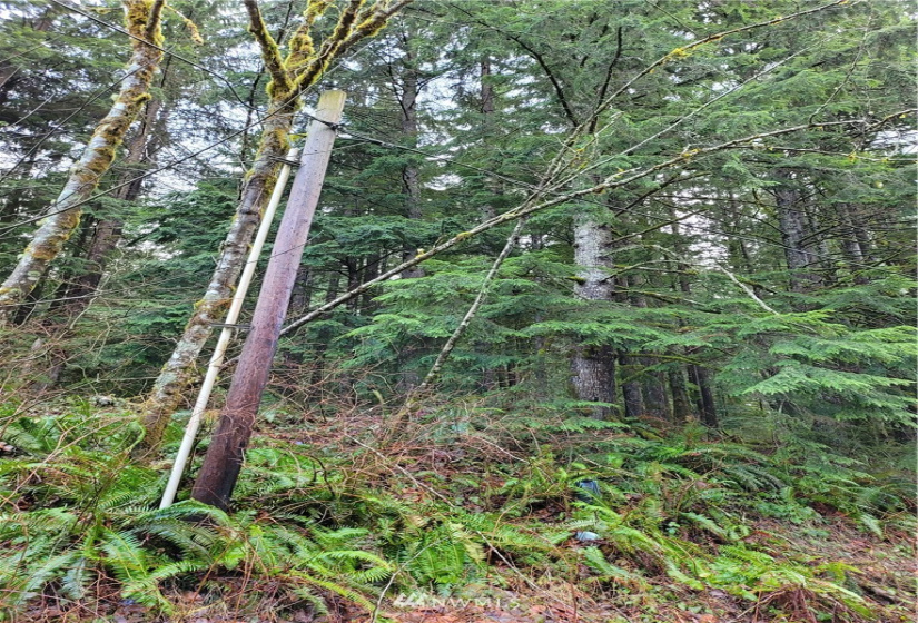 8900 302nd, Issaquah, Washington 98027, ,Land,For Sale,302nd,NWM1878856