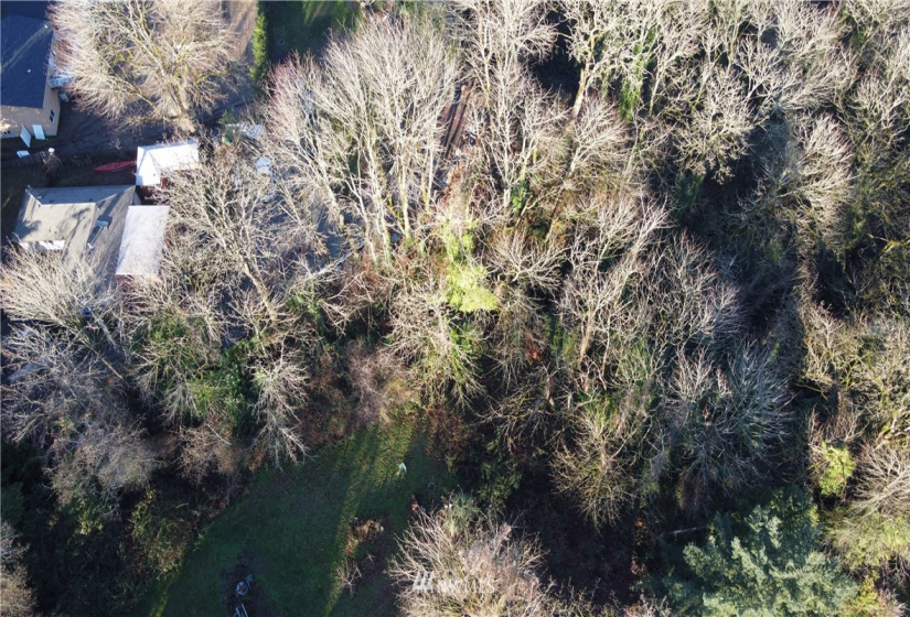 602 Taylor, Renton, Washington 98057, ,Land,For Sale,Taylor,NWM1879143