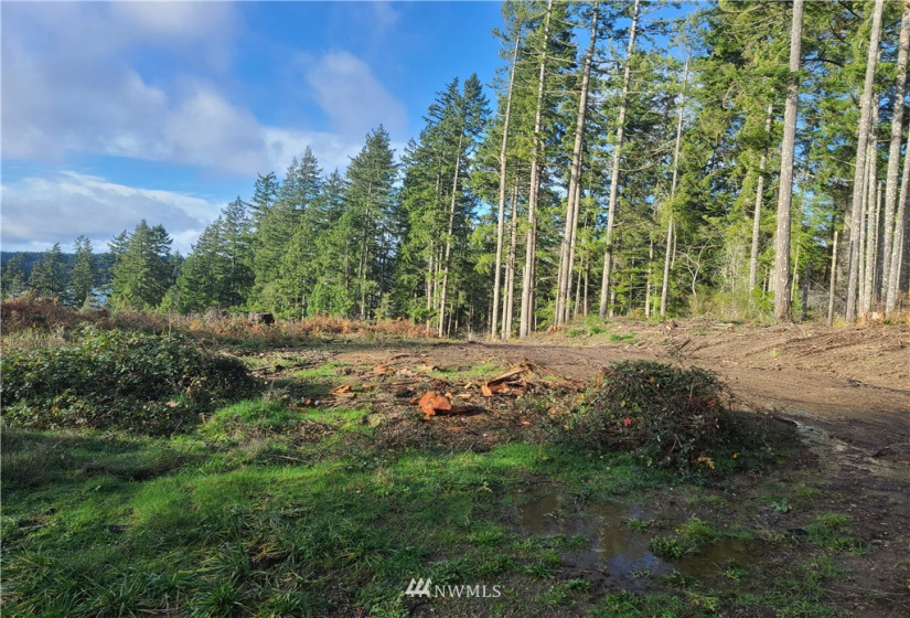 4333 State Route 302, Belfair, Washington 98528, ,Land,For Sale,Short Plat #1595,State Route 302,NWM1879152