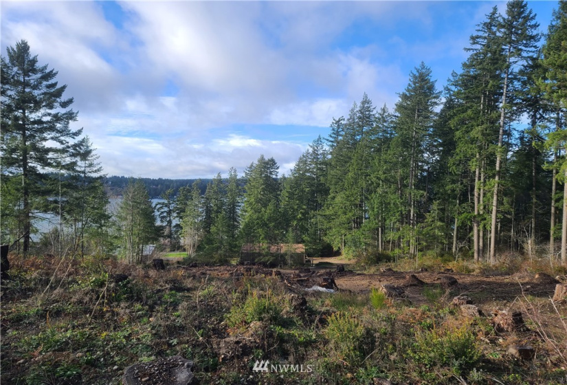 4333 State Route 302, Belfair, Washington 98528, ,Land,For Sale,Short Plat #1595,State Route 302,NWM1879152