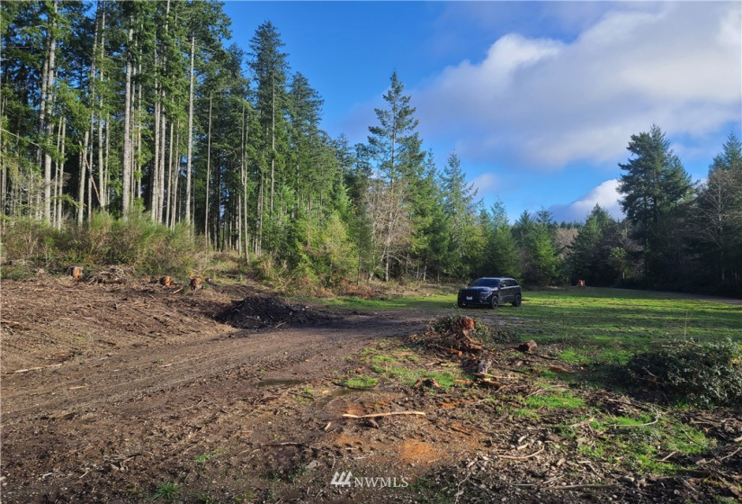 4333 State Route 302, Belfair, Washington 98528, ,Land,For Sale,Short Plat #1595,State Route 302,NWM1879152