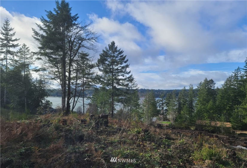 4333 State Route 302, Belfair, Washington 98528, ,Land,For Sale,Short Plat #1595,State Route 302,NWM1879152