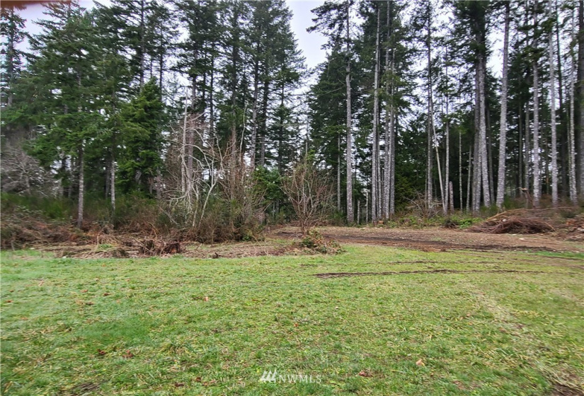 4333 State Route 302, Belfair, Washington 98528, ,Land,For Sale,Short Plat #1595,State Route 302,NWM1879152