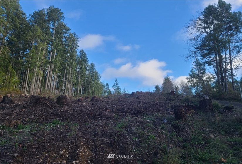 4333 State Route 302, Belfair, Washington 98528, ,Land,For Sale,Short Plat #1595,State Route 302,NWM1879152