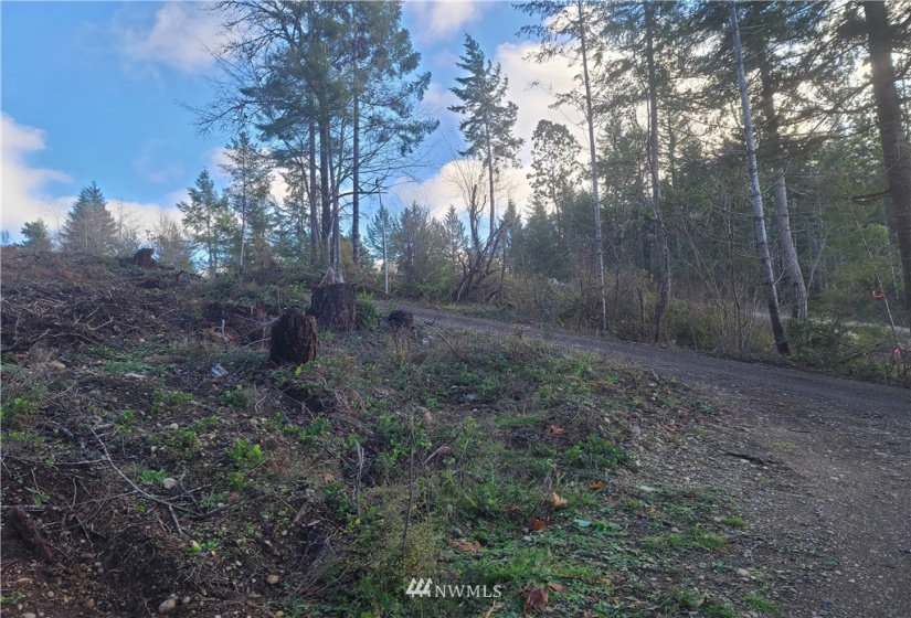 4333 State Route 302, Belfair, Washington 98528, ,Land,For Sale,Short Plat #1595,State Route 302,NWM1879152