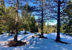 19 Gold Leaf, Cle Elum, Washington 98922, ,Land,For Sale,Tumble Creek,Gold Leaf,NWM1876863