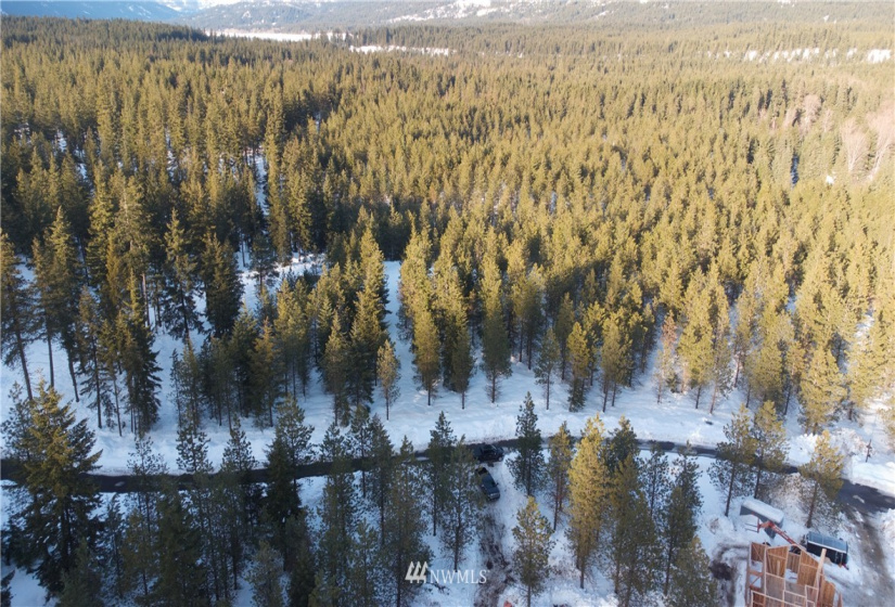 19 Gold Leaf, Cle Elum, Washington 98922, ,Land,For Sale,Tumble Creek,Gold Leaf,NWM1876863