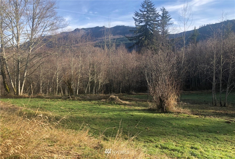 115 Fisher, Glenoma, Washington 98336, 3 Bedrooms Bedrooms, ,2 BathroomsBathrooms,Residential,For Sale,Fisher,NWM1879116