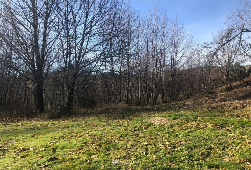 115 Fisher, Glenoma, Washington 98336, 3 Bedrooms Bedrooms, ,2 BathroomsBathrooms,Residential,For Sale,Fisher,NWM1879116