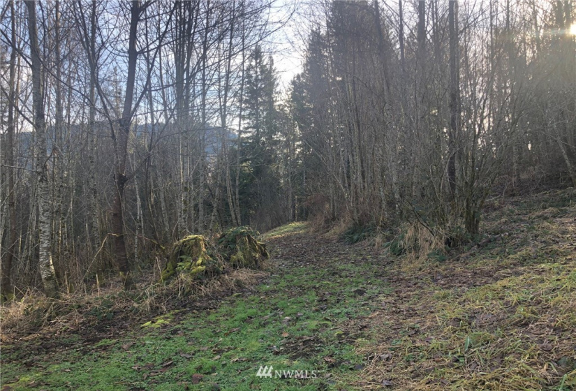 115 Fisher, Glenoma, Washington 98336, 3 Bedrooms Bedrooms, ,2 BathroomsBathrooms,Residential,For Sale,Fisher,NWM1879116