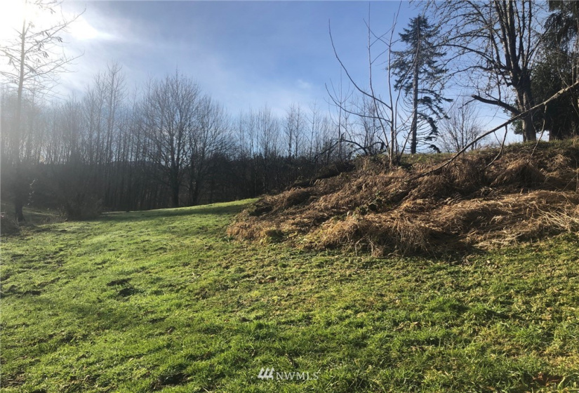 115 Fisher, Glenoma, Washington 98336, 3 Bedrooms Bedrooms, ,2 BathroomsBathrooms,Residential,For Sale,Fisher,NWM1879116