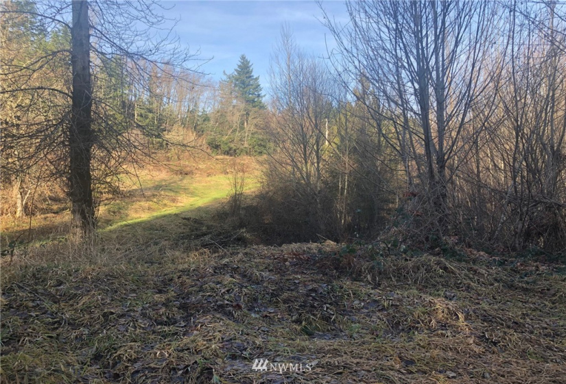 115 Fisher, Glenoma, Washington 98336, 3 Bedrooms Bedrooms, ,2 BathroomsBathrooms,Residential,For Sale,Fisher,NWM1879116