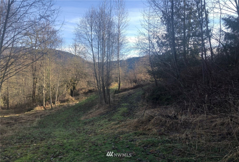 115 Fisher, Glenoma, Washington 98336, 3 Bedrooms Bedrooms, ,2 BathroomsBathrooms,Residential,For Sale,Fisher,NWM1879116
