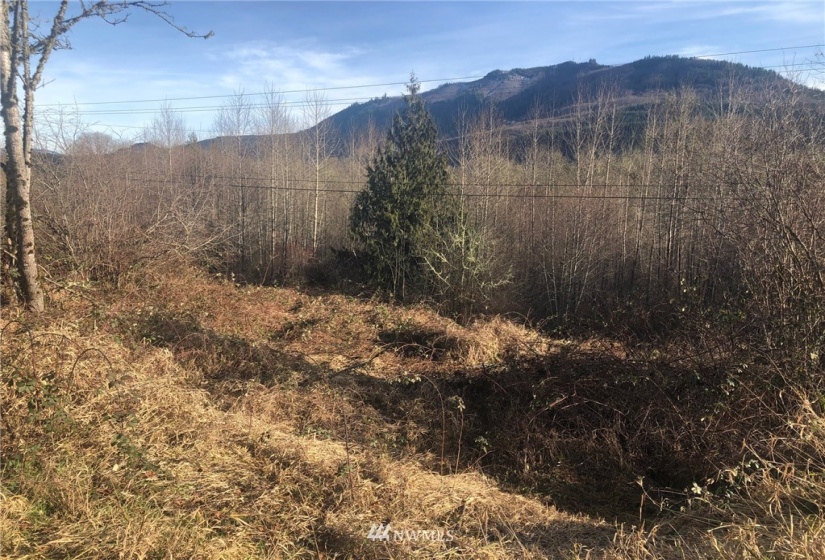 115 Fisher, Glenoma, Washington 98336, 3 Bedrooms Bedrooms, ,2 BathroomsBathrooms,Residential,For Sale,Fisher,NWM1879116