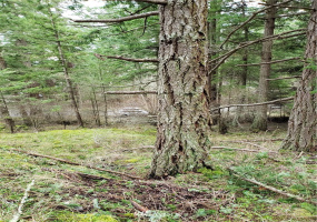 0 XX Rosario, Orcas Island, Washington 98245, ,Land,For Sale,Rosario Estates,Rosario,NWM1878360