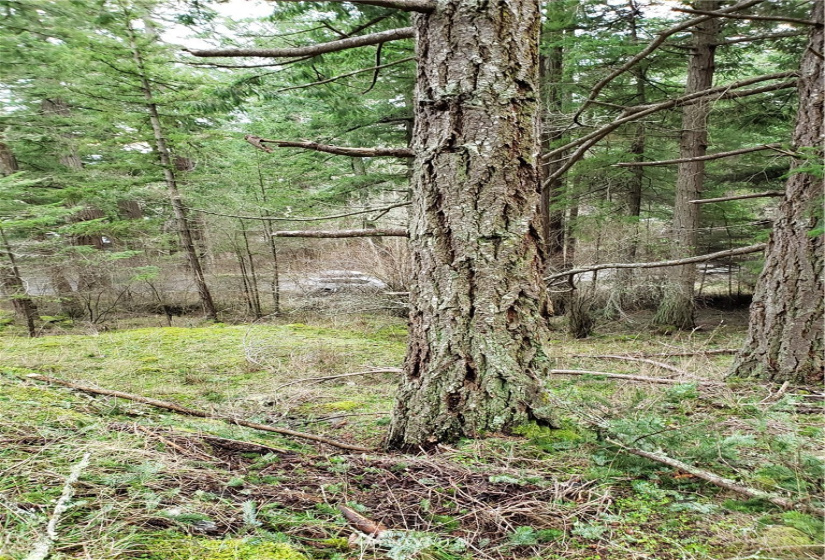 0 XX Rosario, Orcas Island, Washington 98245, ,Land,For Sale,Rosario Estates,Rosario,NWM1878360
