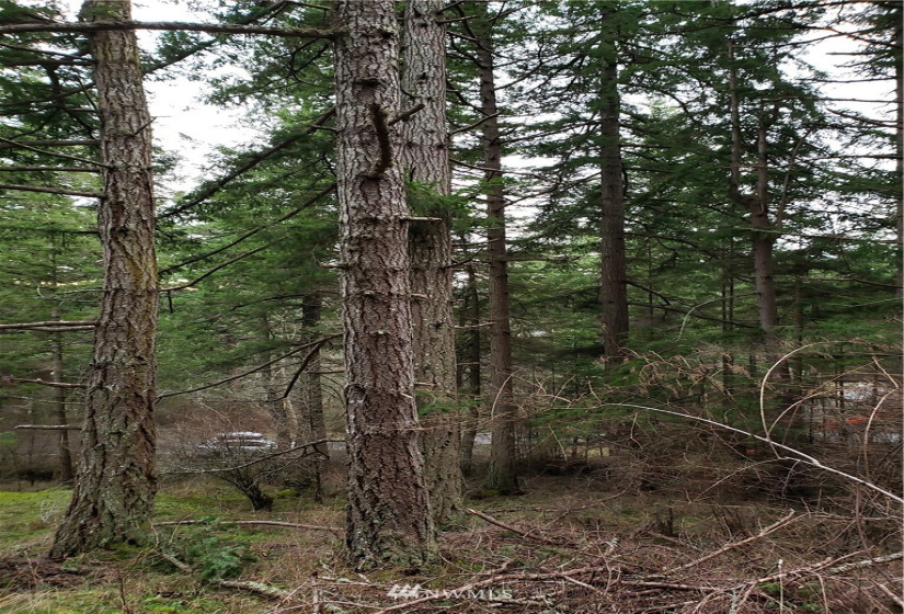 0 XX Rosario, Orcas Island, Washington 98245, ,Land,For Sale,Rosario Estates,Rosario,NWM1878360