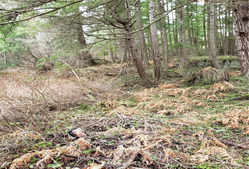 0 XX Rosario, Orcas Island, Washington 98245, ,Land,For Sale,Rosario Estates,Rosario,NWM1878360