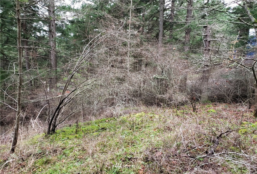 0 XX Rosario, Orcas Island, Washington 98245, ,Land,For Sale,Rosario Estates,Rosario,NWM1878360