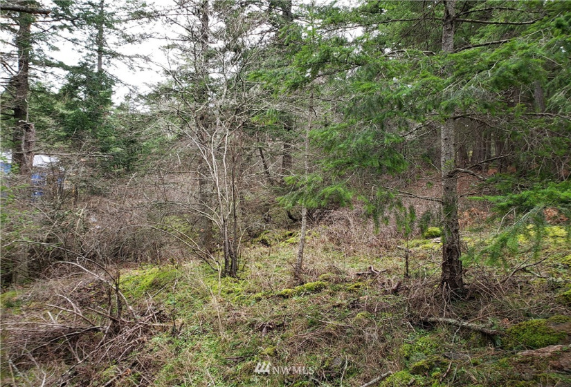 0 XX Rosario, Orcas Island, Washington 98245, ,Land,For Sale,Rosario Estates,Rosario,NWM1878360