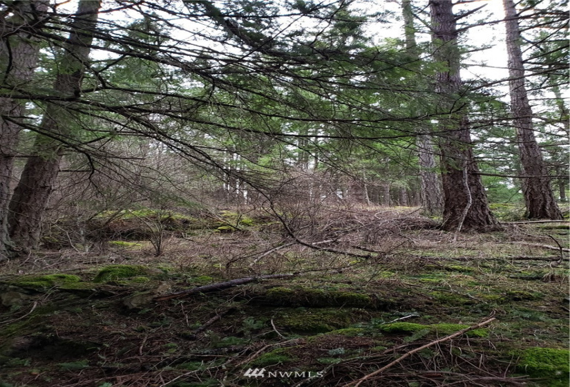 0 XX Rosario, Orcas Island, Washington 98245, ,Land,For Sale,Rosario Estates,Rosario,NWM1878360