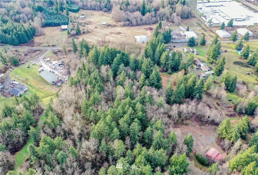 0 Reeder, Tenino, Washington 98589, ,Land,For Sale,Reeder,NWM1874714