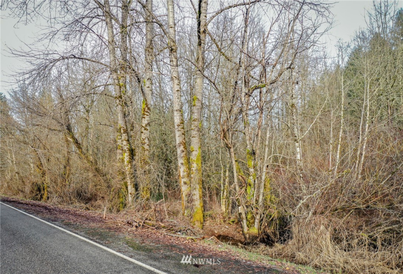 0 Reeder, Tenino, Washington 98589, ,Land,For Sale,Reeder,NWM1874714