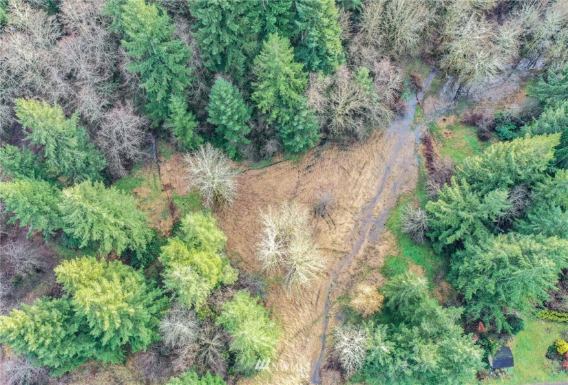 0 Reeder, Tenino, Washington 98589, ,Land,For Sale,Reeder,NWM1874714
