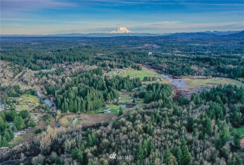 0 Reeder, Tenino, Washington 98589, ,Land,For Sale,Reeder,NWM1874714