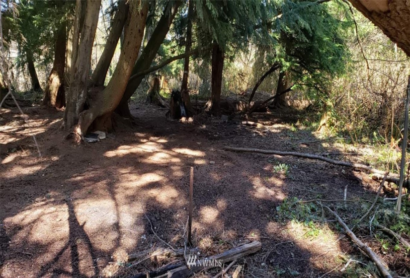 175 XX Ash, Lynnwood, Washington 98037, ,Land,For Sale,Approx 1.8 acre,Ash,NWM1878644