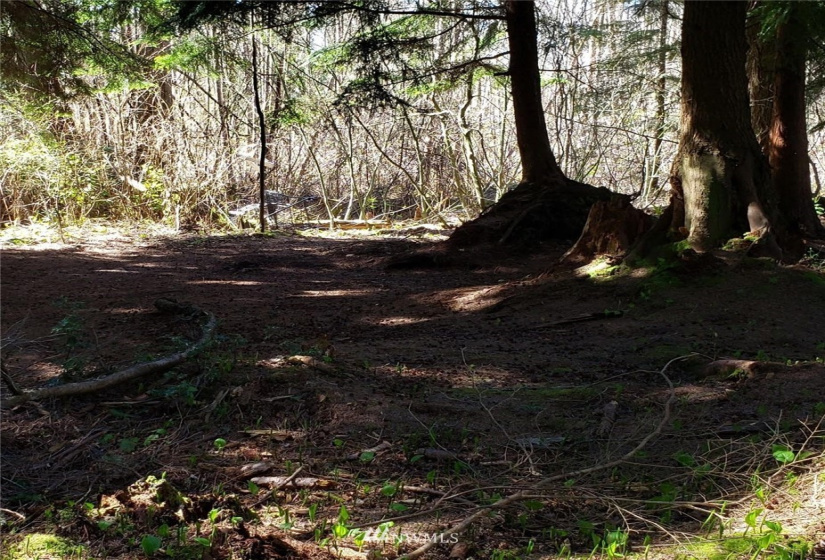 175 XX Ash, Lynnwood, Washington 98037, ,Land,For Sale,Approx 1.8 acre,Ash,NWM1878644