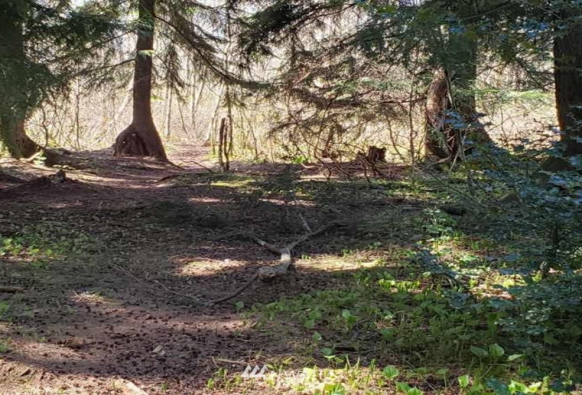175 XX Ash, Lynnwood, Washington 98037, ,Land,For Sale,Approx 1.8 acre,Ash,NWM1878644