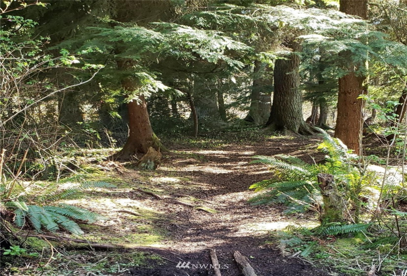 175 XX Ash, Lynnwood, Washington 98037, ,Land,For Sale,Approx 1.8 acre,Ash,NWM1878644