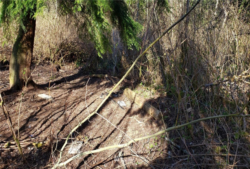175 XX Ash, Lynnwood, Washington 98037, ,Land,For Sale,Approx 1.8 acre,Ash,NWM1878644