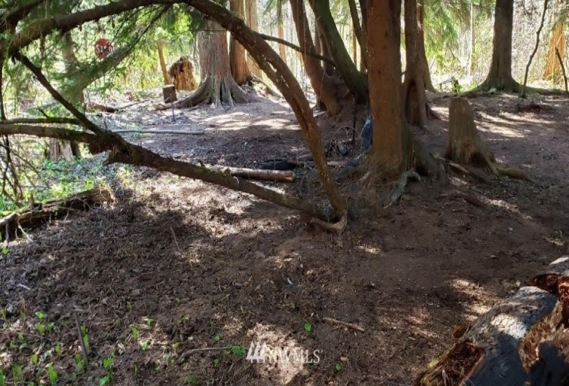 175 XX Ash, Lynnwood, Washington 98037, ,Land,For Sale,Approx 1.8 acre,Ash,NWM1878644