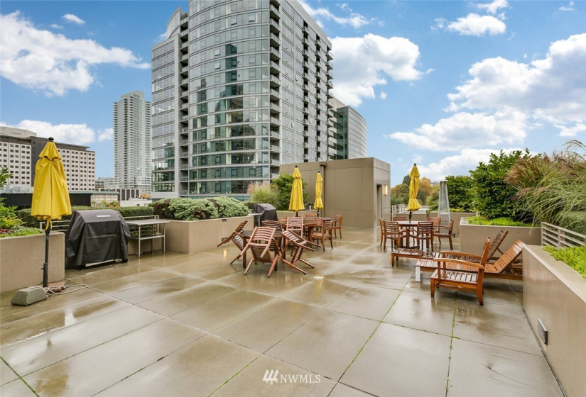 900 Lenora, Seattle, Washington 98121, 1 Bedroom Bedrooms, ,1 BathroomBathrooms,Residential Lease,For Rent,Lenora,NWM1878874