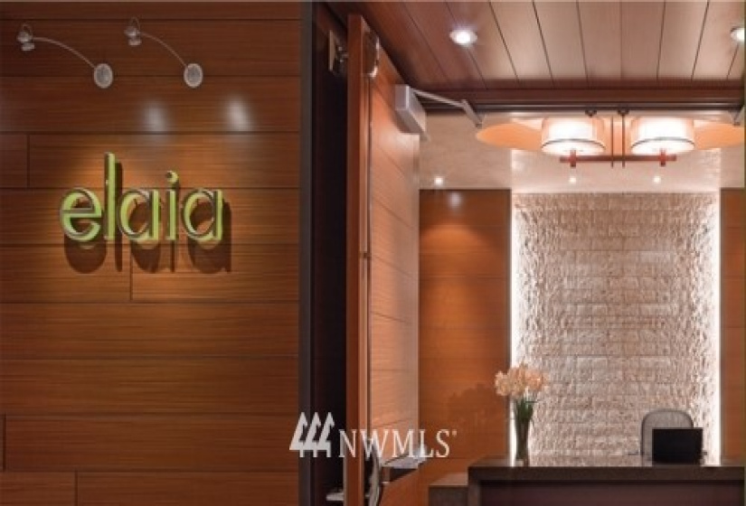 737 Olive, Seattle, Washington 98101, 1 Bedroom Bedrooms, ,1 BathroomBathrooms,Residential Lease,For Rent,Olive 8,Olive,NWM1879474