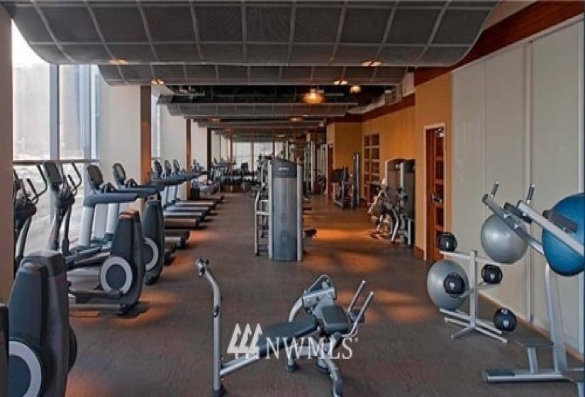 737 Olive, Seattle, Washington 98101, 1 Bedroom Bedrooms, ,1 BathroomBathrooms,Residential Lease,For Rent,Olive 8,Olive,NWM1879474