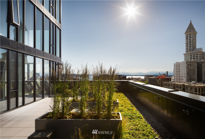 450 Main, Seattle, Washington 98104, 2 Bedrooms Bedrooms, ,1 BathroomBathrooms,Residential,For Sale,KODA Condominium,Main,NWM1877516