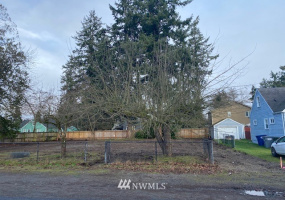 313 118th, Tacoma, Washington 98444, ,Land,For Sale,118th,NWM1879495